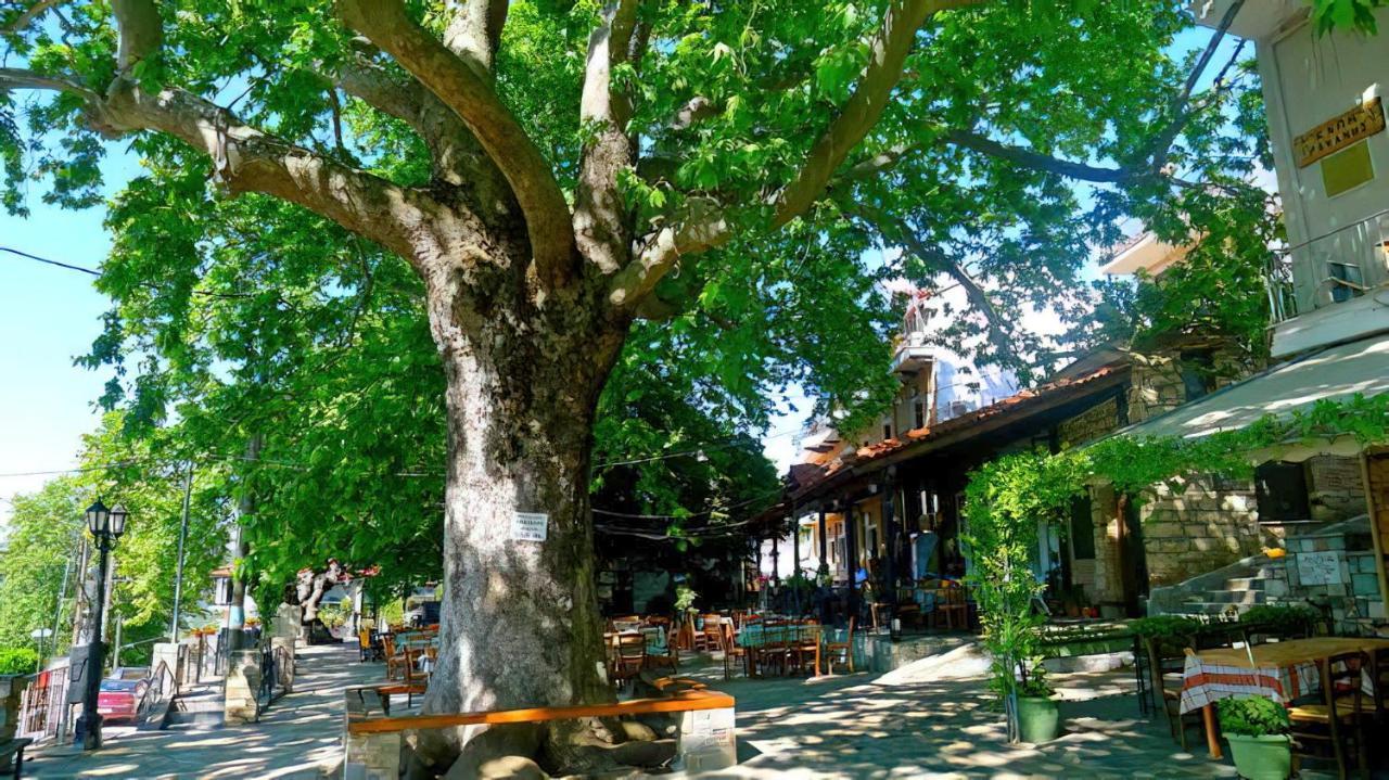 Rapsani Panorama Villa Dış mekan fotoğraf