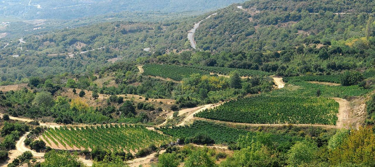 Rapsani Panorama Villa Dış mekan fotoğraf