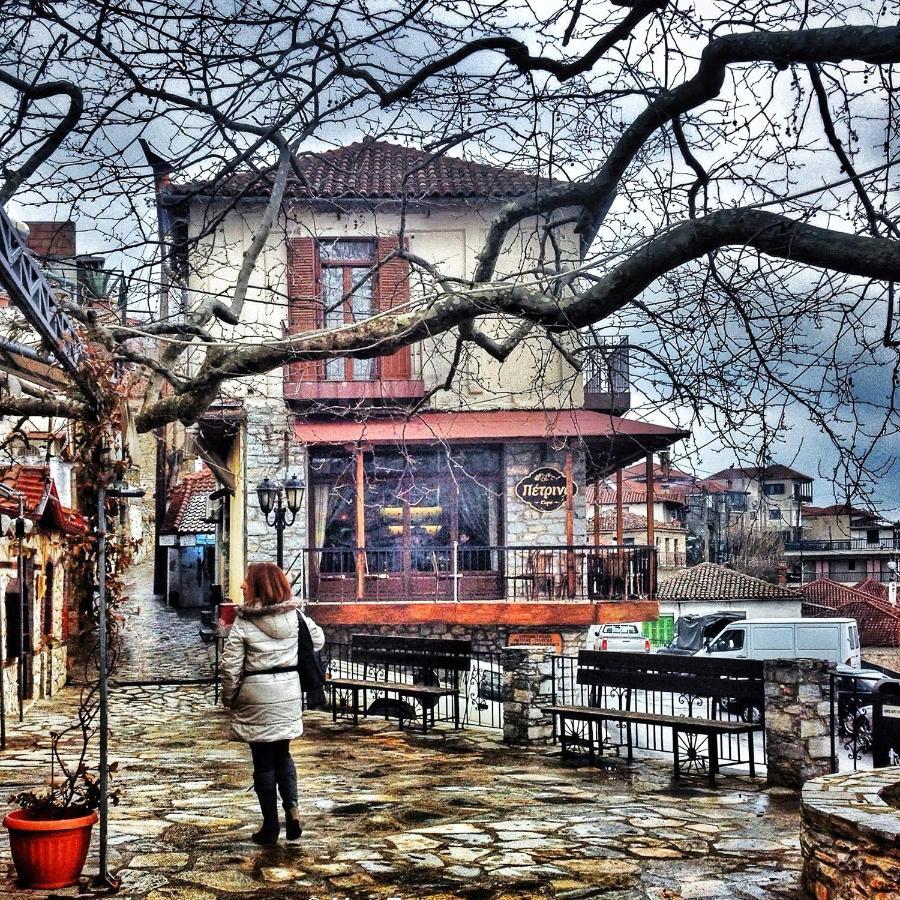 Rapsani Panorama Villa Dış mekan fotoğraf